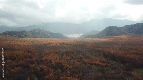 秋-紅葉-ドローン空撮-森-湖-日光-栃木-日本