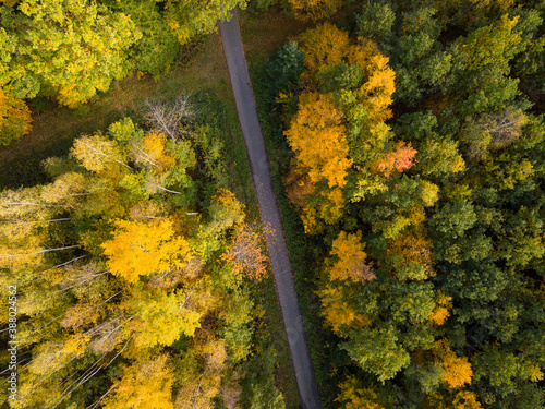 Aerial view of autumn forest crossed by a walking path. Fall landscape with red, yellow and green foliage as seen from above.