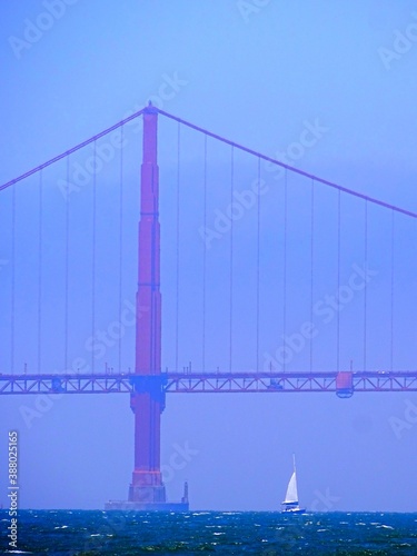 Fototapeta Naklejka Na Ścianę i Meble -  North America, United States, California, the Golden Bridge in San Francisco