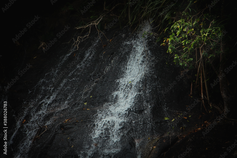 waterfall in the forest