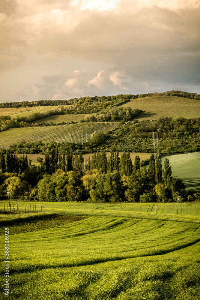 Fototapeta premium South moravia