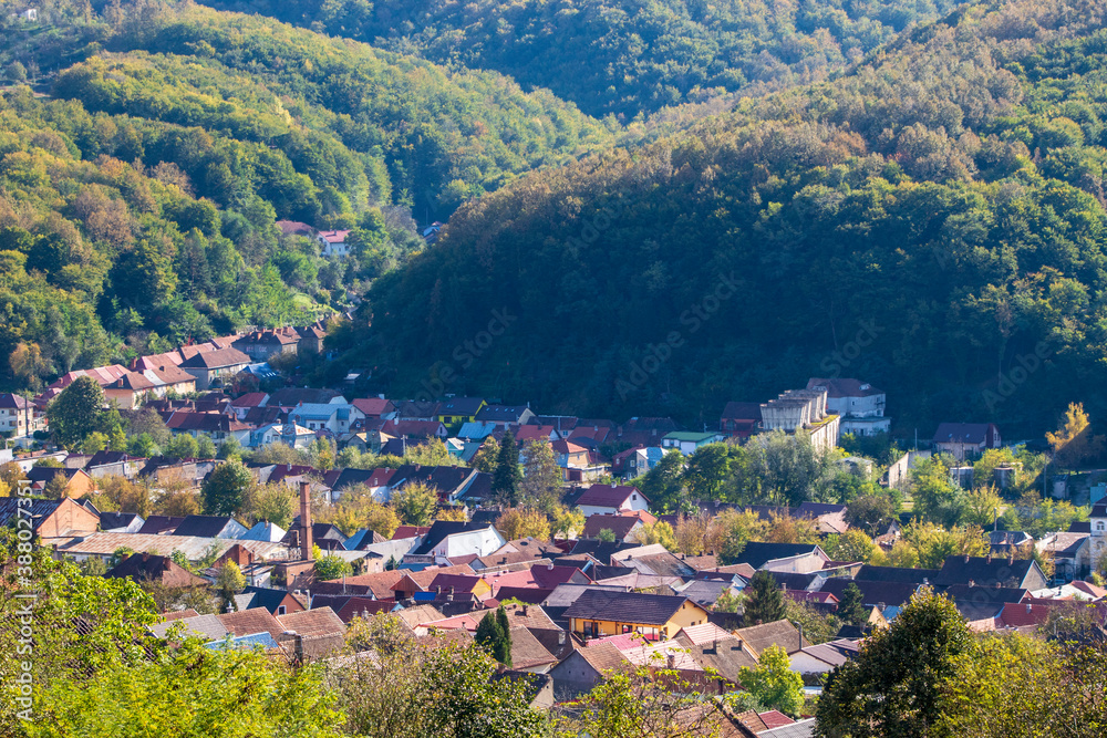 Fototapeta premium A village with forest nearby