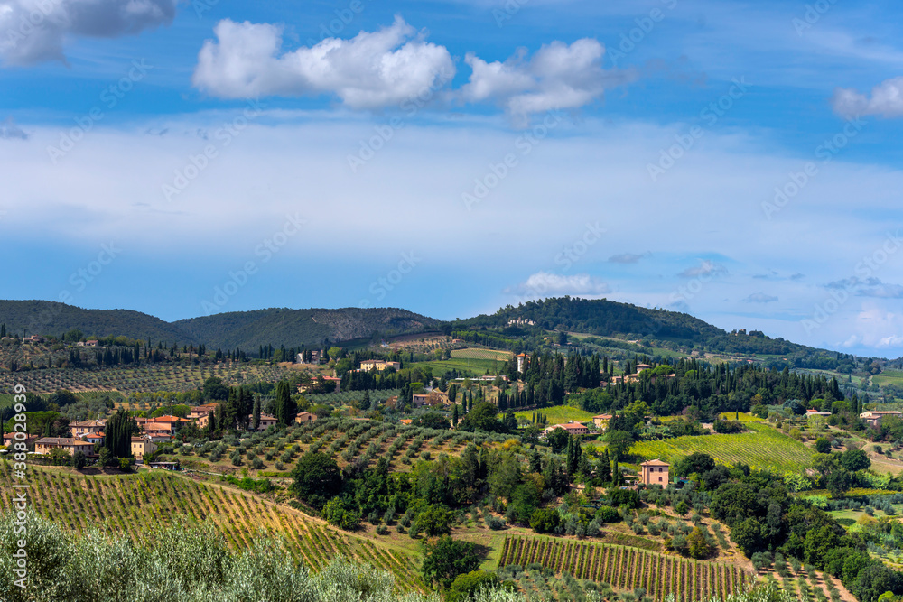 Hügelige Landschaft mit Zypresse und Olivenbäumen in der Toskana, Italien