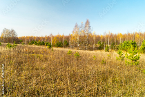 Autumn landscape in rural terrain at solar day