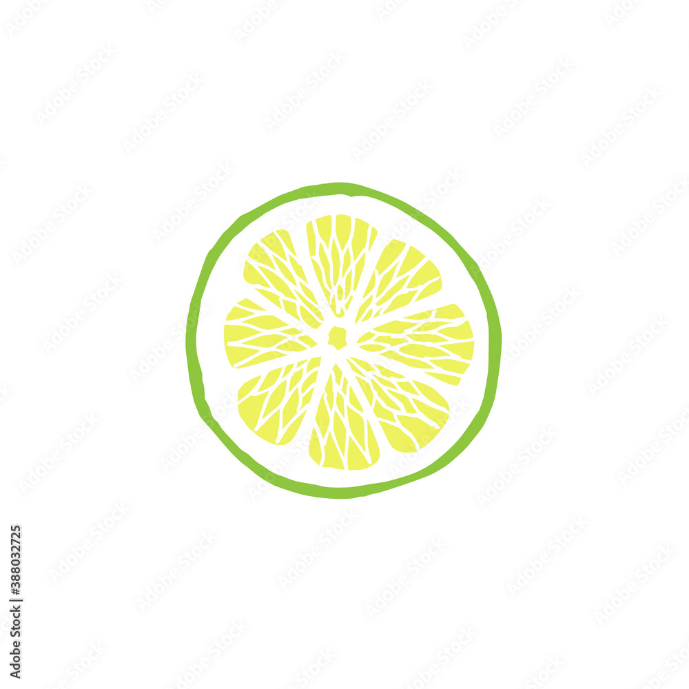 Vector hand drawn doodle sketch lime slice isolated on white background Vector hand drawn doodle sketch lime slice isolated on white background