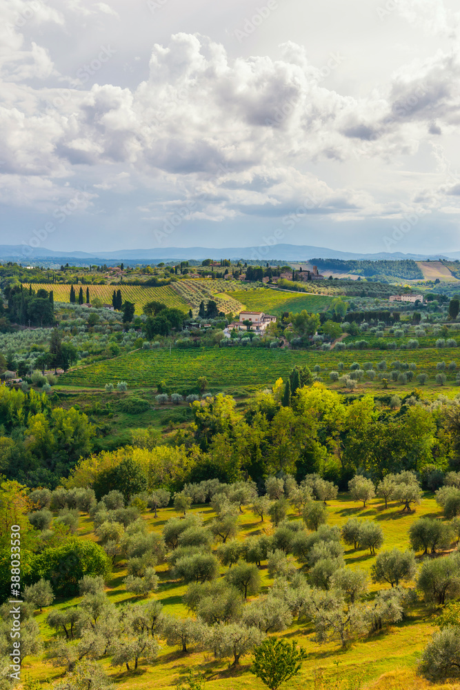 Hügelige Landschaft mit Zypresse und Olivenbäumen in der Toskana, Italien