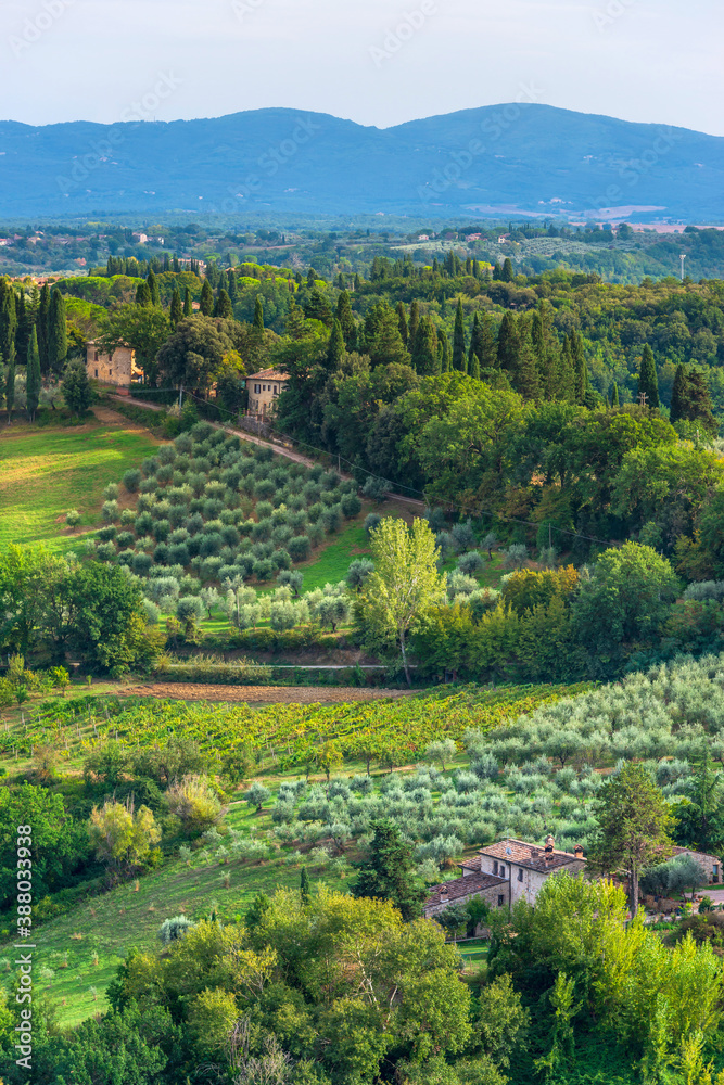 Hügelige Landschaft mit Zypresse und Olivenbäumen in der Toskana, Italien
