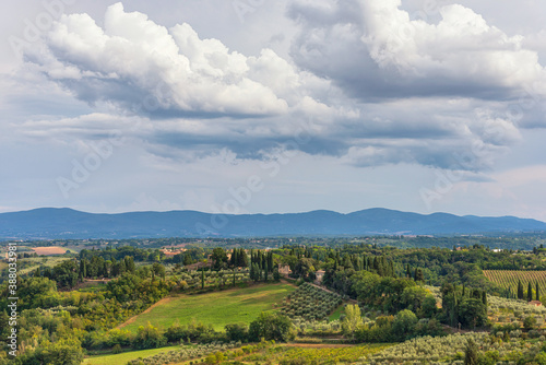 H  gelige Landschaft mit Zypresse und Olivenb  umen in der Toskana  Italien