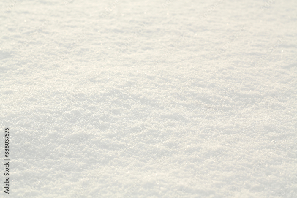 Fototapeta premium white snow texture