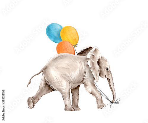 Photography gray elephant with balloons on white background, illustration watercolor hand pa