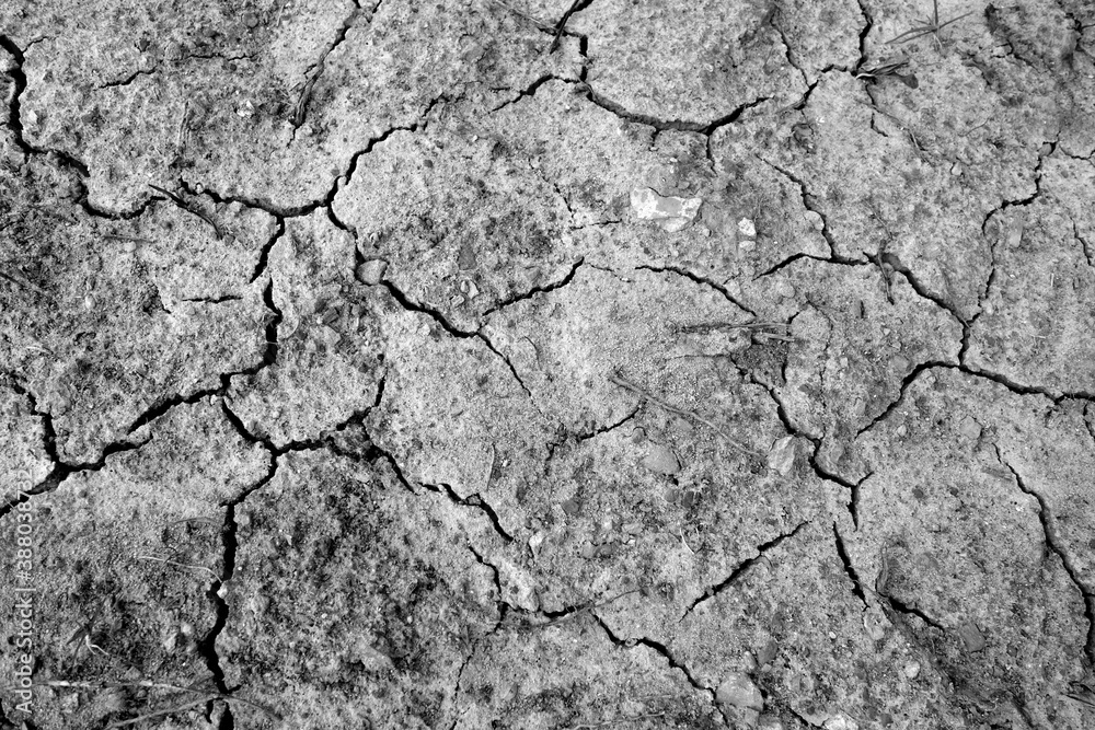 Dry cracked soil pattern. black and white style Dry cracked soil pattern. black and white style