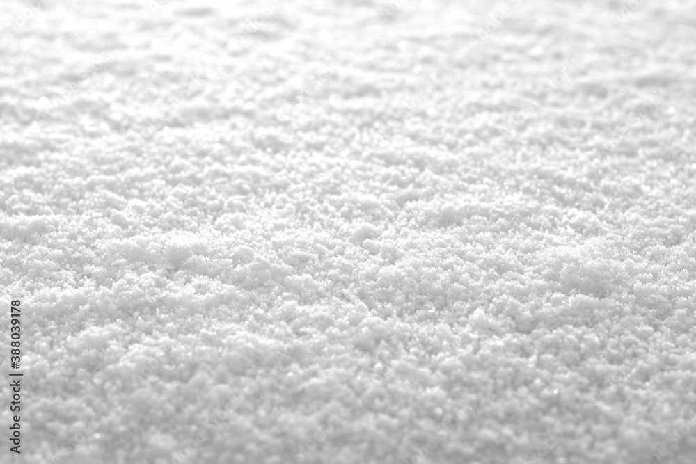Obraz premium white snow close up texture with blur effect