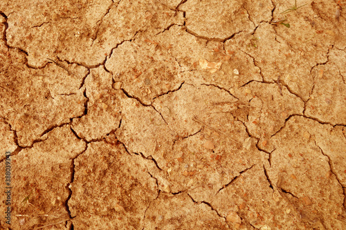 Dry cracked soil pattern.