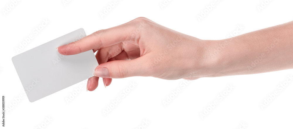 Female caucasian hands with blank business card isolated on white background. blank for designers Female caucasian hands with blank business card isolated on white background. blank for designers