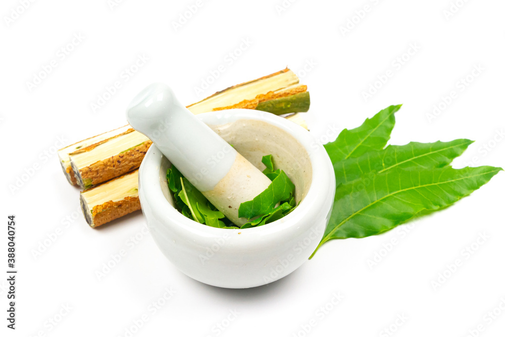 Medicinal Neem leaf in mortar and pestle white ceramic and neem leaf