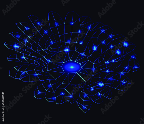 beautiful polygonal blue flower, vector graphics