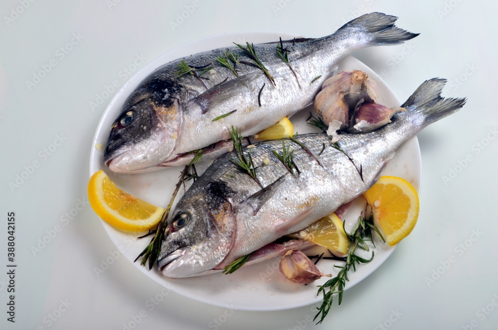Dorado fish stuffed with lemon slices and green rosemary for cooking Dorado fish stuffed with lemon slices and green rosemary for cooking