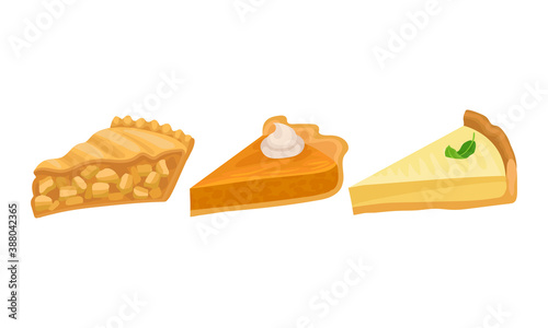 Pieces of Baked Sweet Pie with Filling and Crust Made of Shortcrust Pastry Vector Set