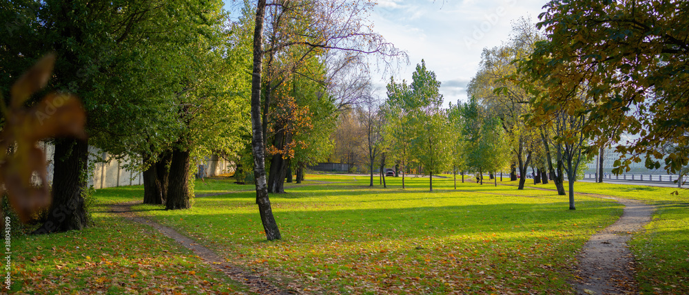 Obraz premium autumn park with paths and fallen leaves