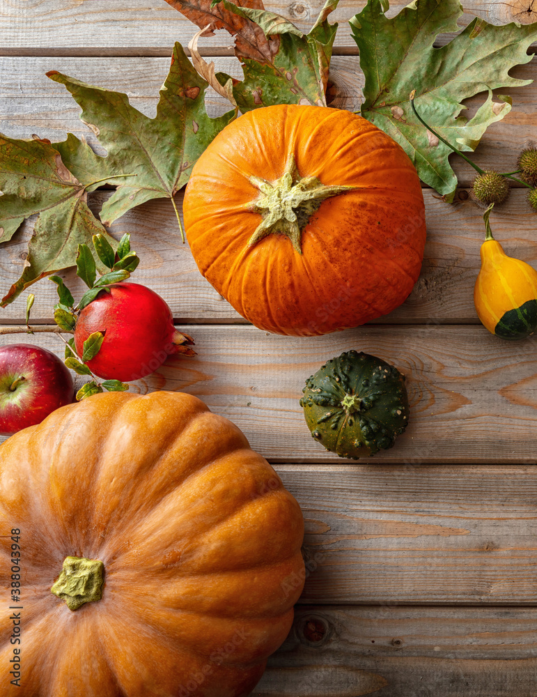 Thanksgiving flat lay with colorful pumpkins, fruits and fall leaves on rustic wooden background