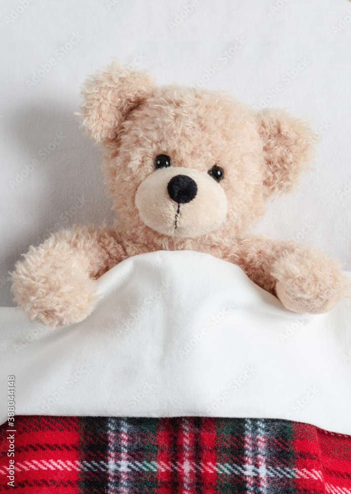 Cute teddy covered with a warm blanket, laying in bed