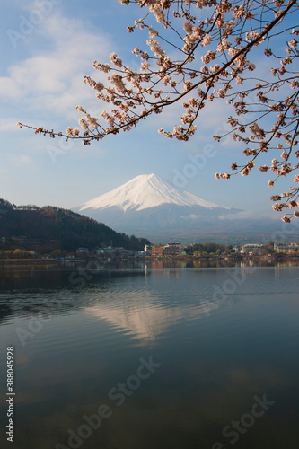 Wallpaper Mural 河口湖の桜と富士山 Torontodigital.ca