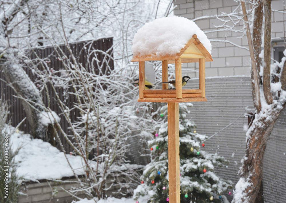 Naklejka premium Feeding blue tits with sunflower seeds from a wooden chalet style open sided wild bird platform feeder in the backyard of a house in snowy and frosty winter.