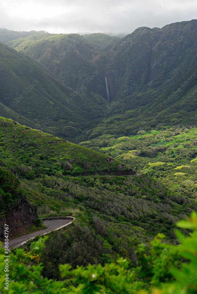Fototapeta premium Moaula Falls at Halawa Valley Molokai portrait