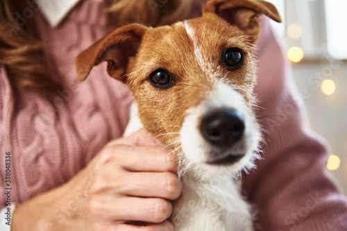 Woman with a pet dog relaxing. Pet care concept