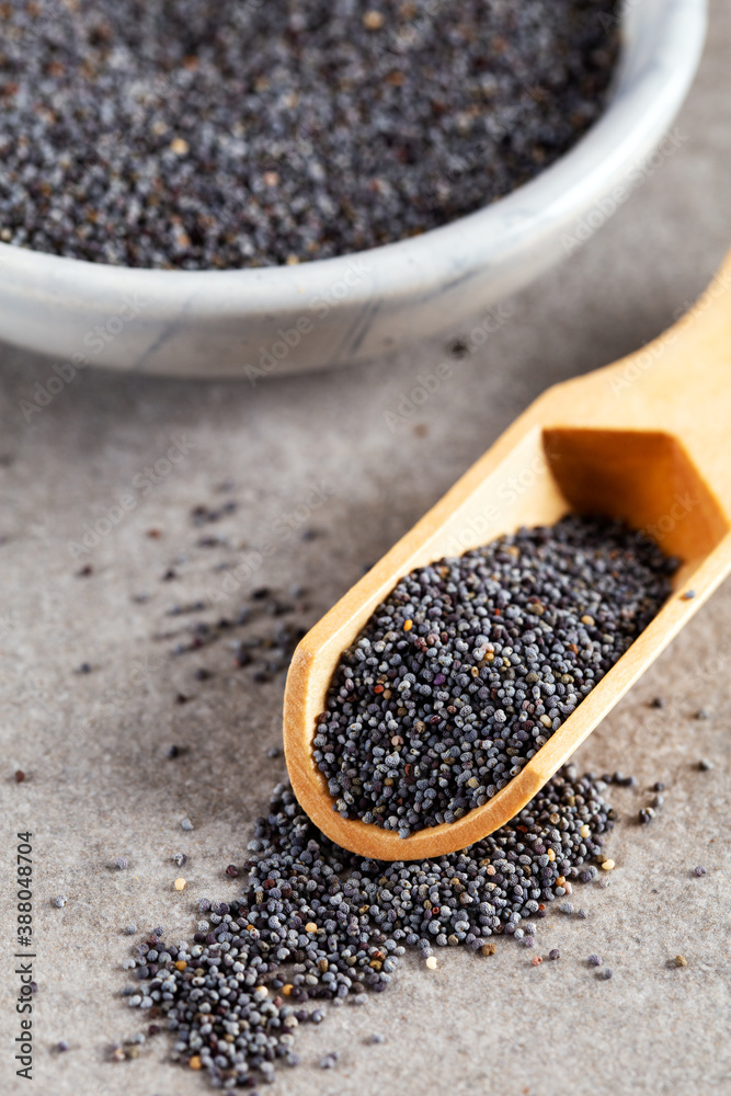 Poppy seed in wooden spoon with bowl on stone background. Poppy seed in wooden spoon with bowl on stone background.