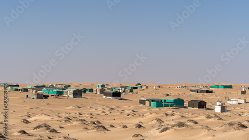 Bedouin Oman
