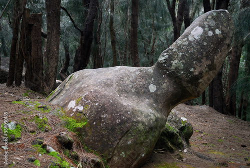 Quadro su tela Erect penis of Phallic rock Palaau State Park Molokai