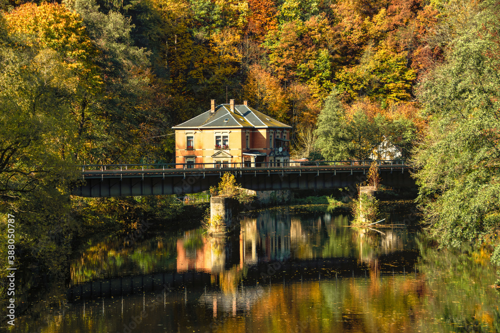 Fototapeta premium Herbst Wasser und Wald 