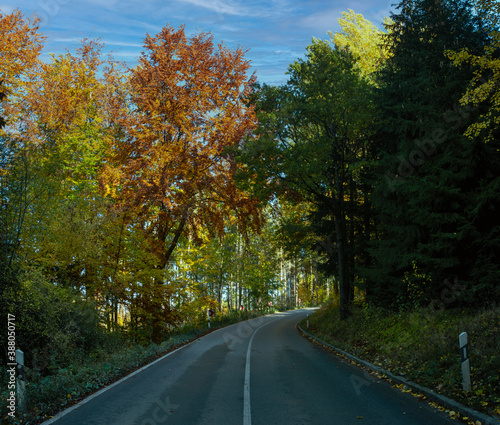 Herbst Wasser und Wald  © Johnny