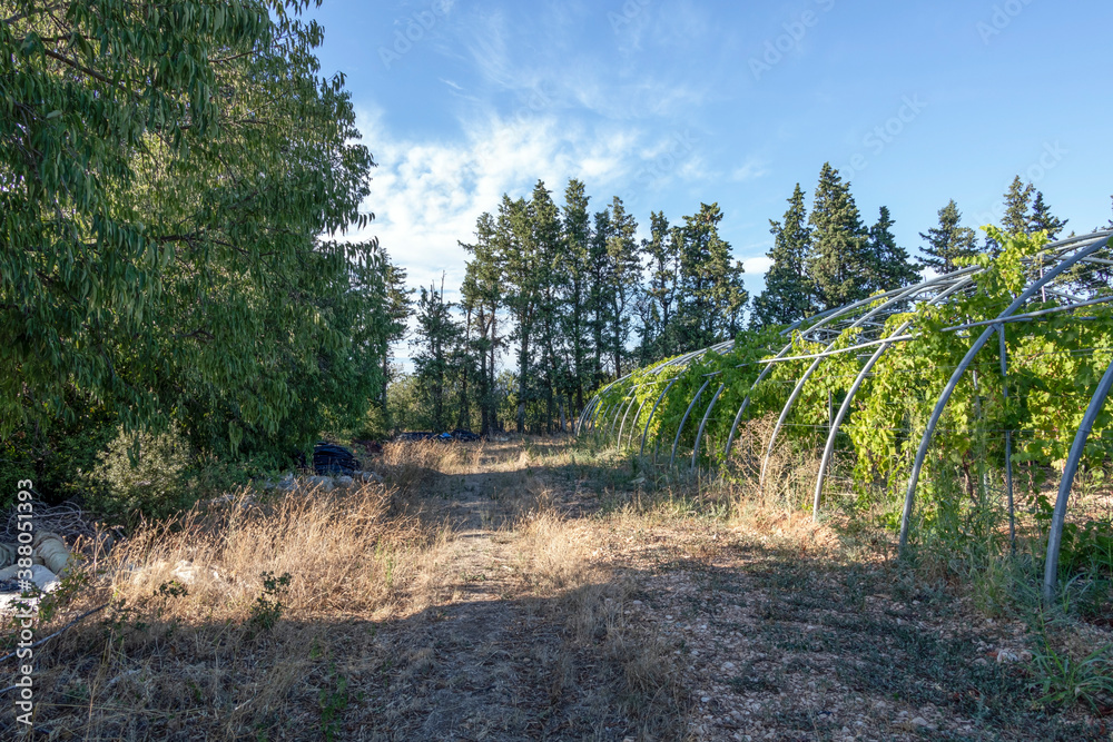 Dump with plastic garbage in the fields, nature pollution with plastic trash from agriculture Dump with plastic garbage in the fields, nature pollution with plastic trash from agriculture