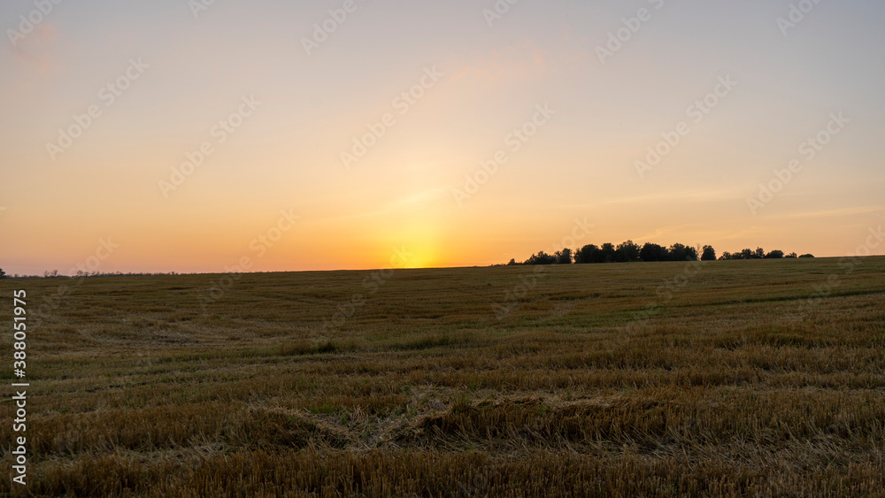 Beautiful sunset in the field