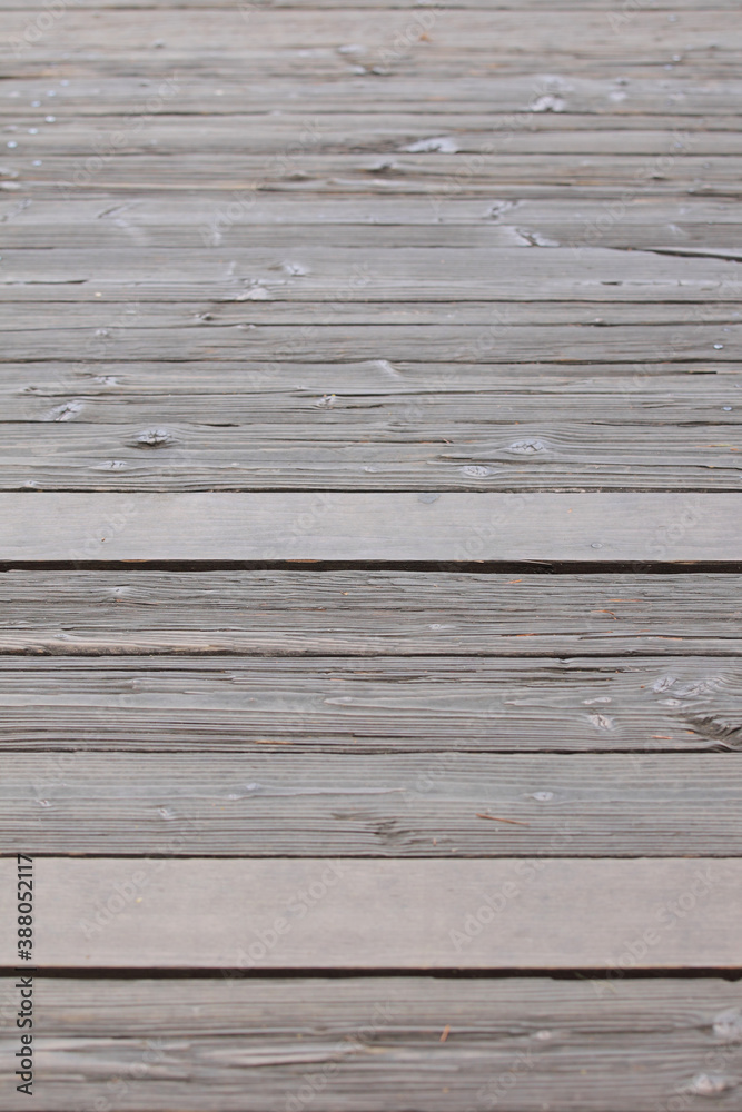 Obraz premium 木目の床