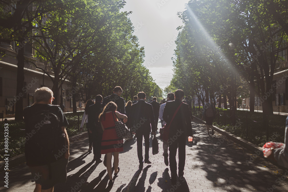 Obraz premium University, Architecture, People Walking