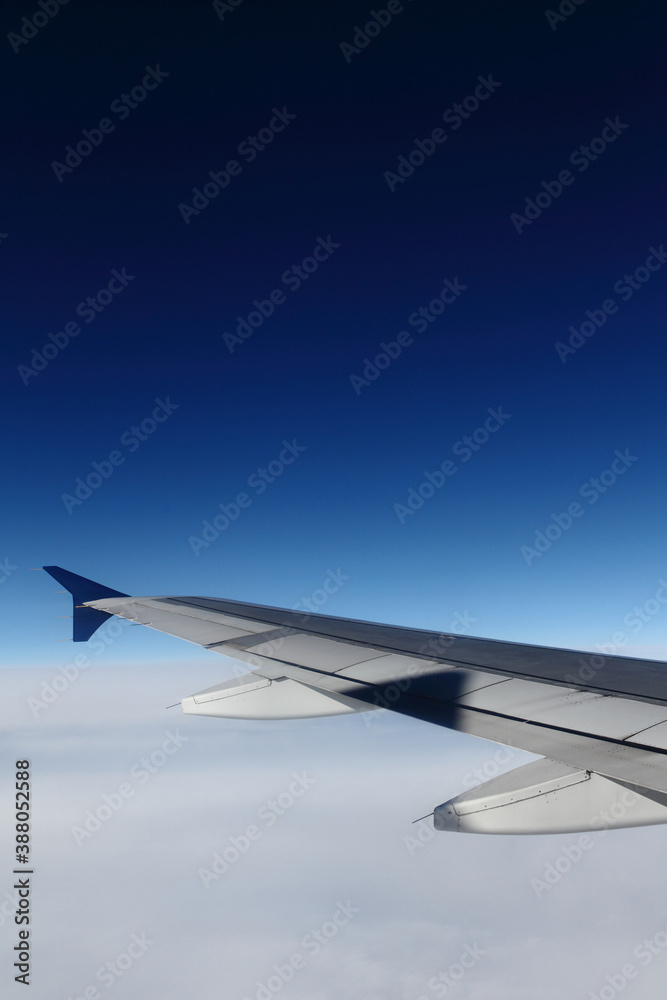 翼と空 翼と空