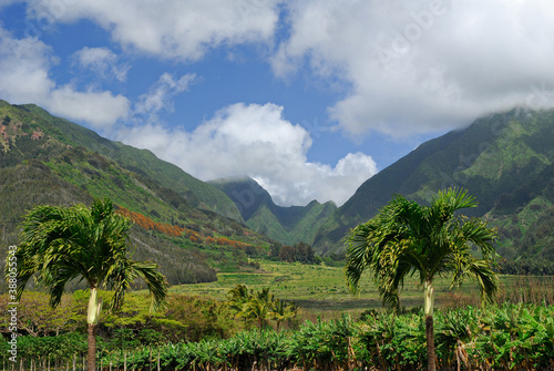 West Maui mountain Puu Kukui gulch at Tropical Plantation photo