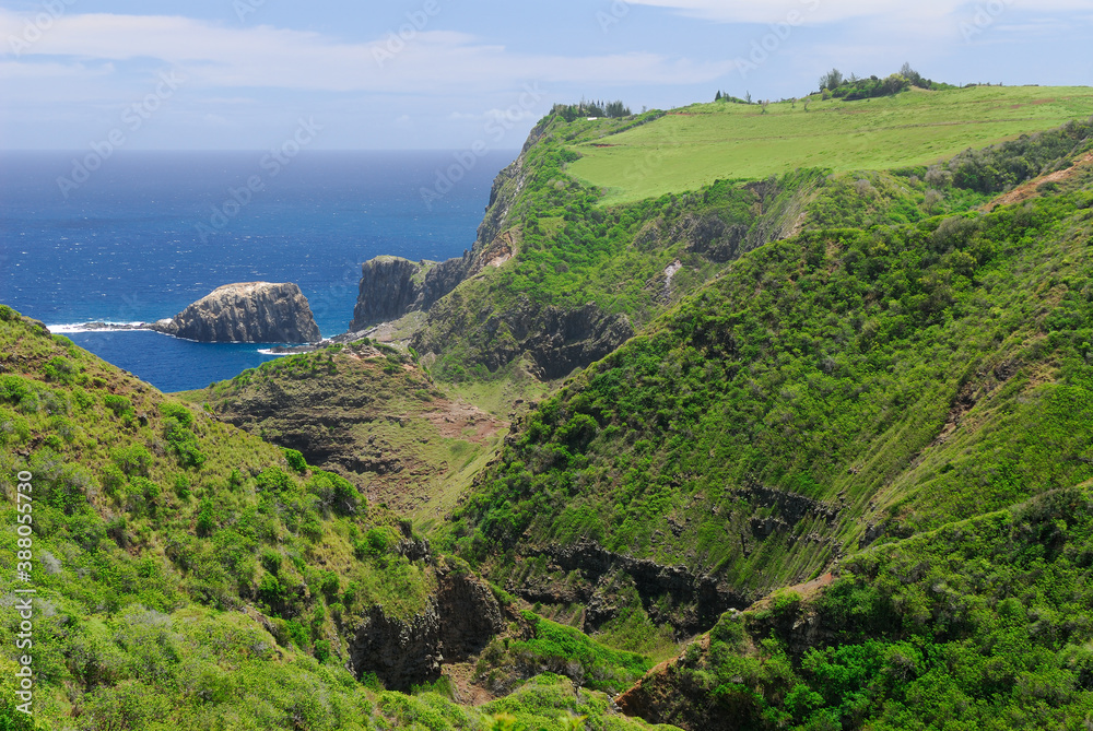 Mokeehia Island Seabird Sanctuary with pasture and cliffs on Maui