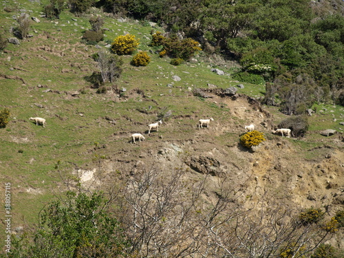 natural beauty of New Zealand Dunedin and Catlin beaches