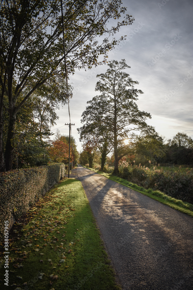 Autumn Vista Over Irish Landscape