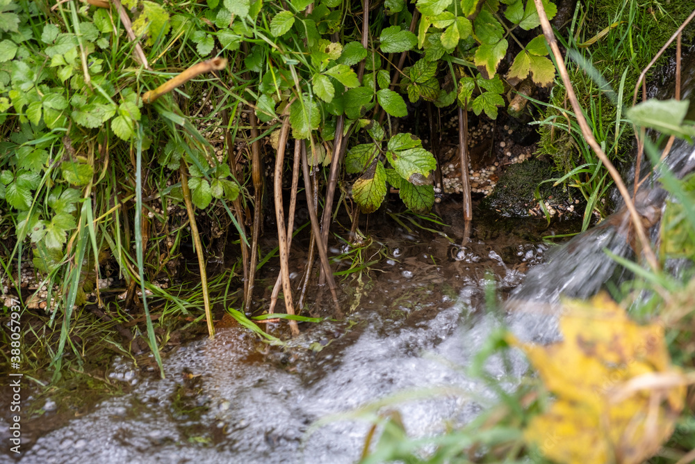 Rapid fast stream flowing in the park. Rapid fast stream flowing in the park.