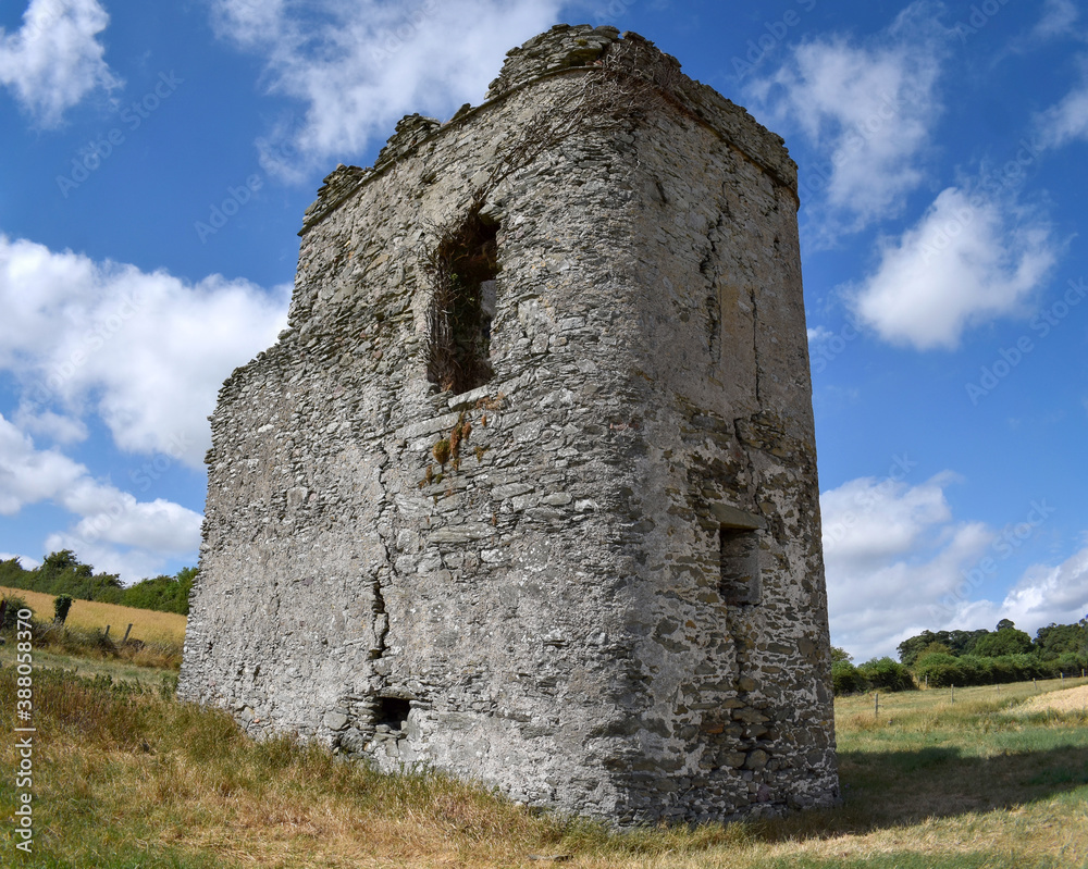 Ancient Irish Monastic Site and Cathedral Ruins