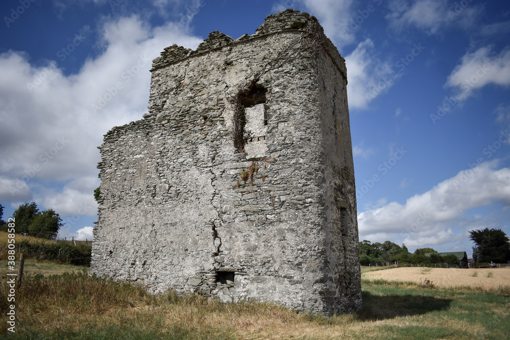 Ancient Monastic Oughterard Site, Ireland