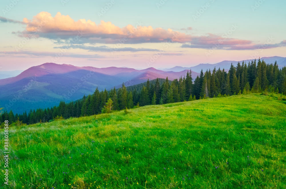 Dawn in the mountains. Wide green meadow in the foreground. Clouds illuminated by the sun. Rich color palette. Summer Carpathians.