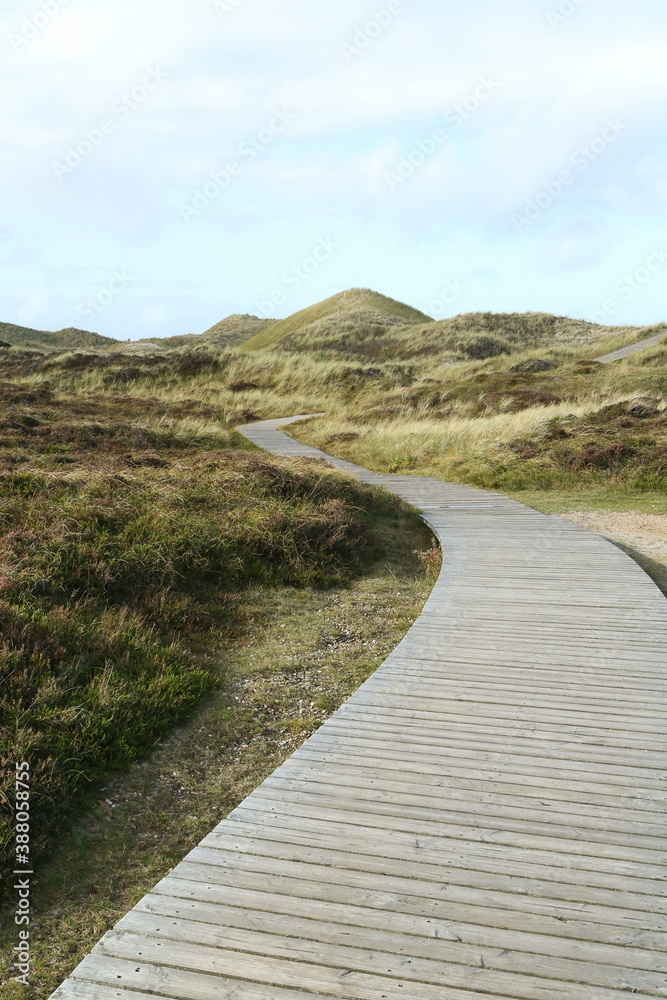 Wooden planks trail, Isle of Amrum, Schleswig-Holstein, Germany