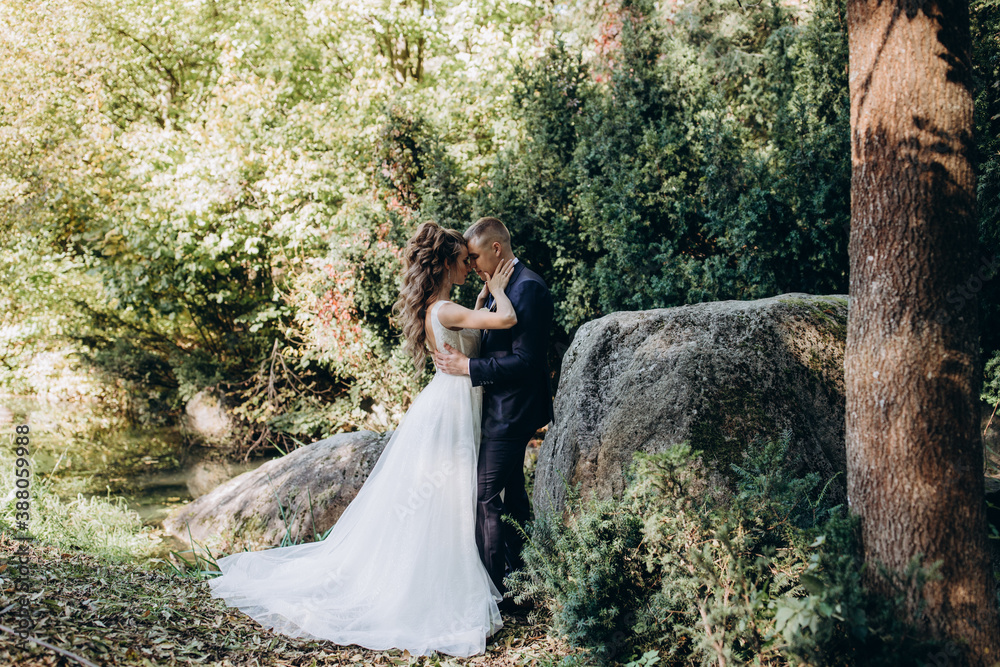 Photo session of the newlyweds against the backdrop of a picturesque area. Forest and rocks. Photo session of the newlyweds against the backdrop of a picturesque area. Forest and rocks.