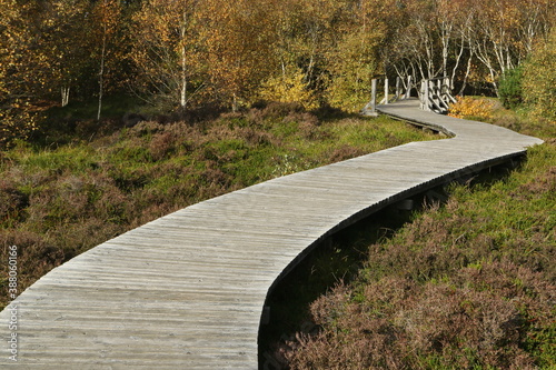 Wooden planks trail, Isle of Amrum, Schleswig-Holstein, Germany photo